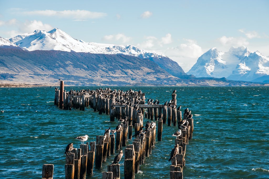 Start your boat tour in Puerto Natales