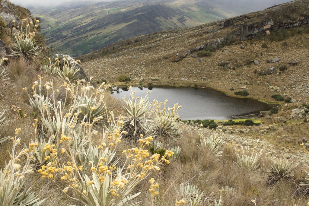 Sumapaz