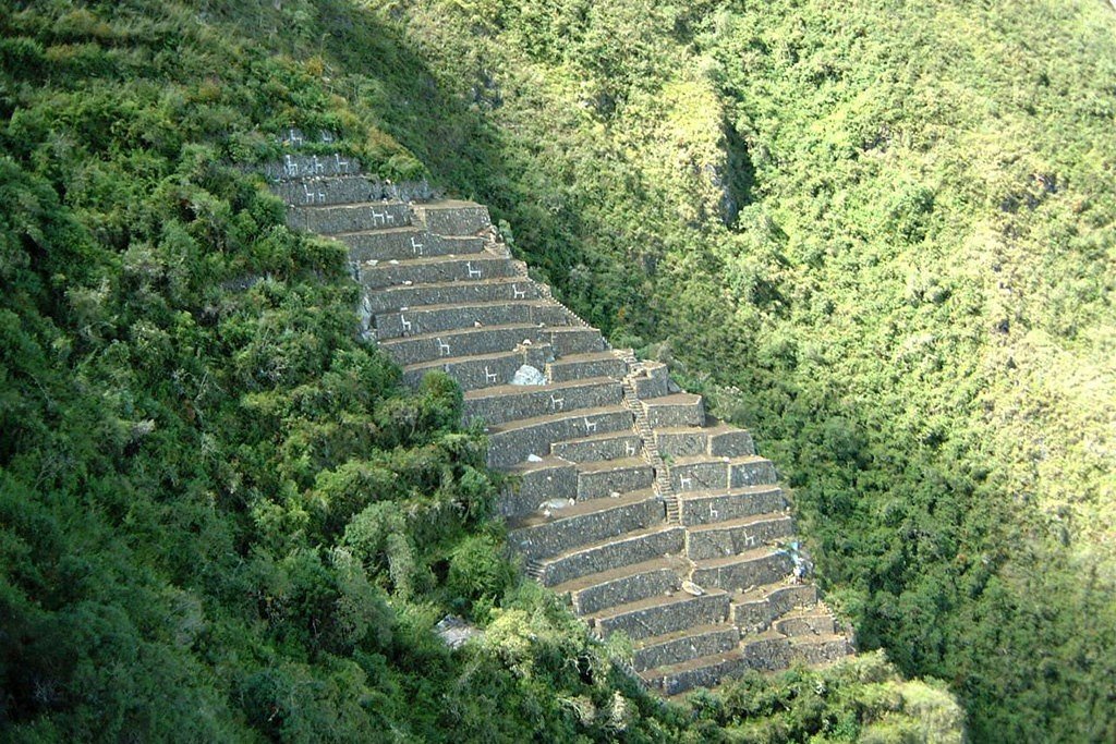 Terraces below Choquequirao