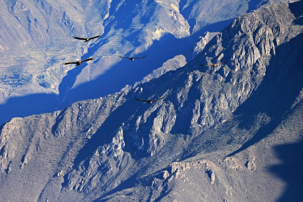 Colca canyon