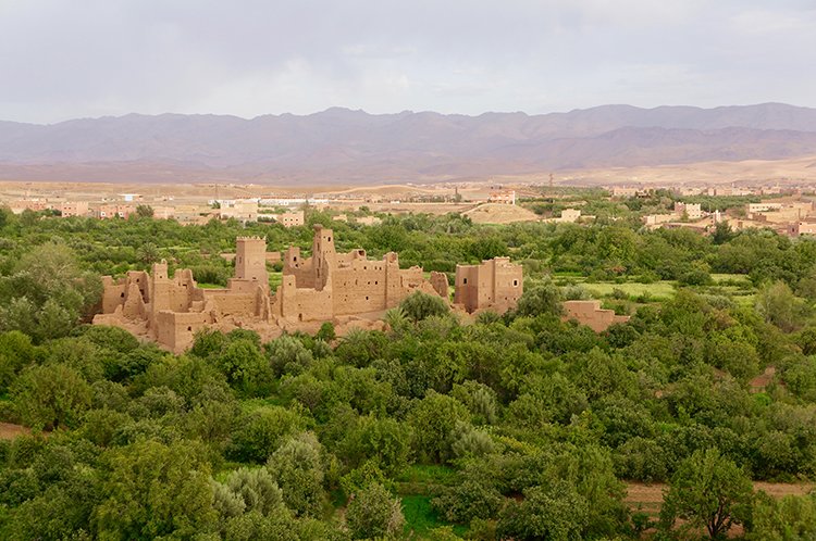 Lush Dades Valley and Kasbahs