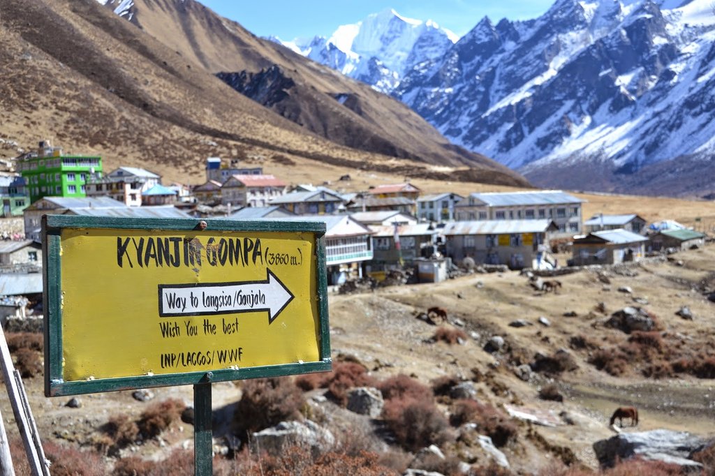 Views from the village of Kyangjin Gompa
