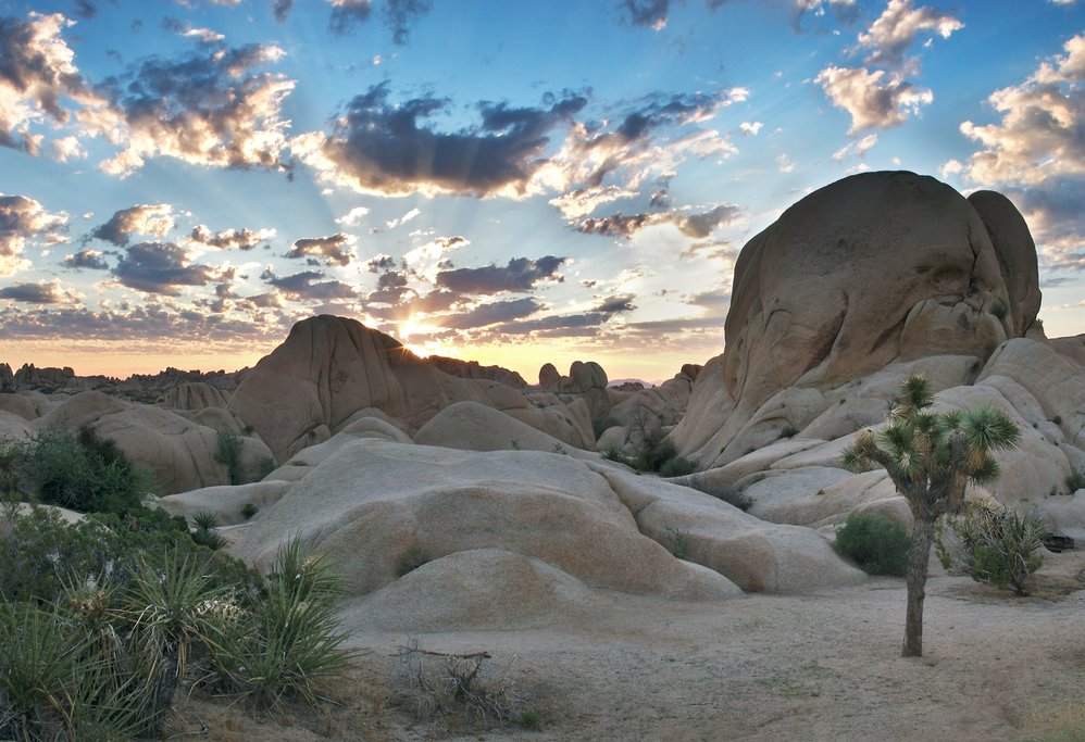 Rock formations in Joshua Tree