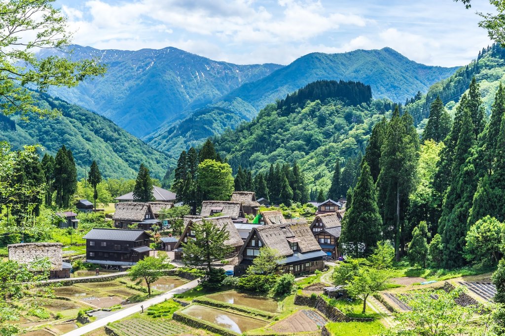 Charming village Gokayama