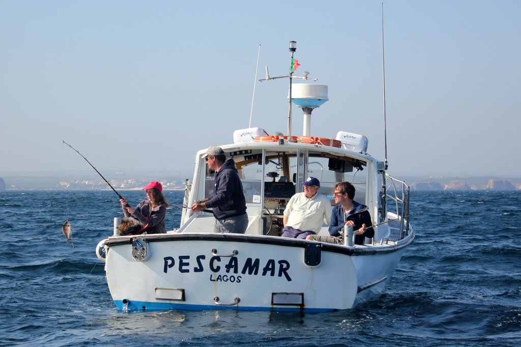 Fishing in the Baleeira harbor