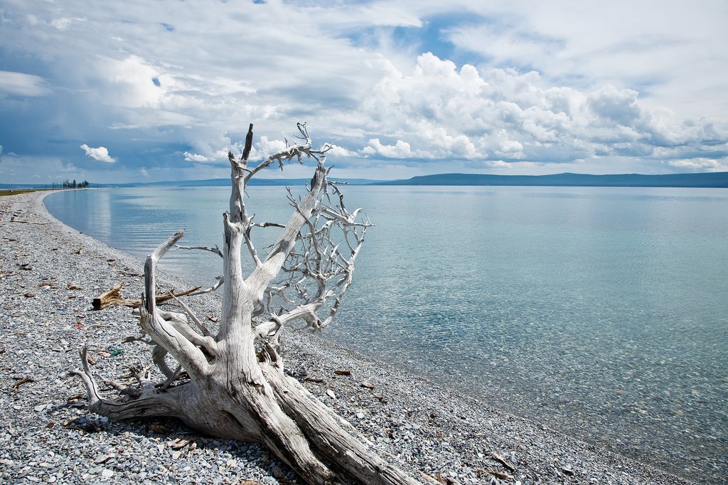 The shores of Lake Khövsgöl