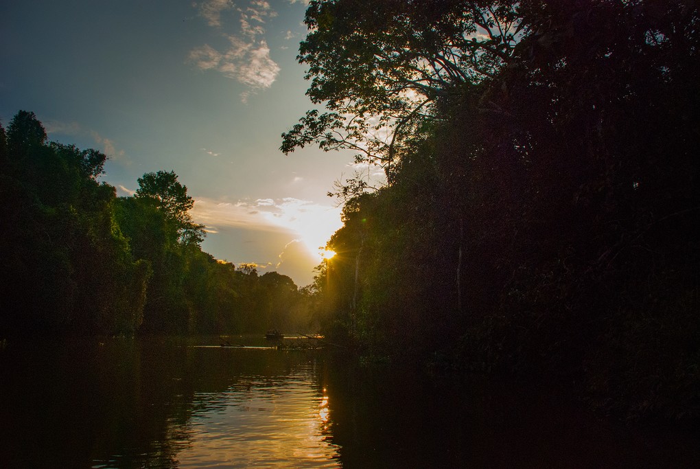 On the river in Borneo at sunset