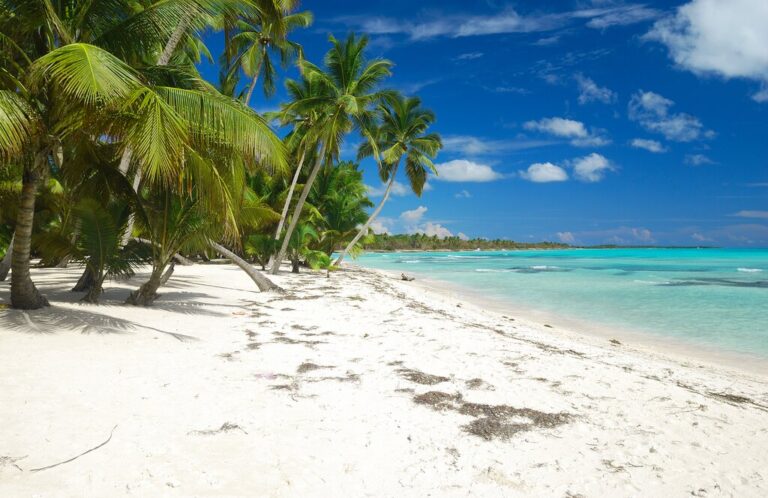 The Dominican Republic In May Travel Tips Weather More