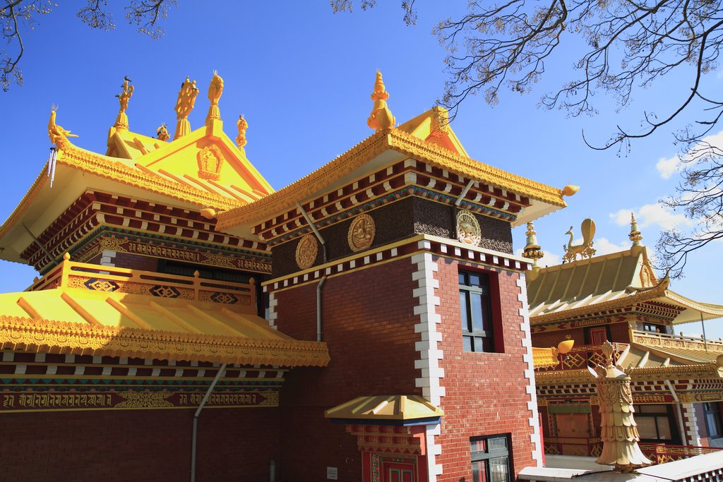 Thrangu Tashi Yangtse Monastery