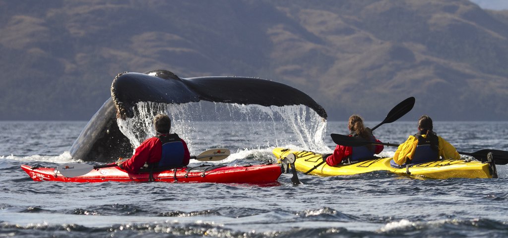 Kayaking in Chile