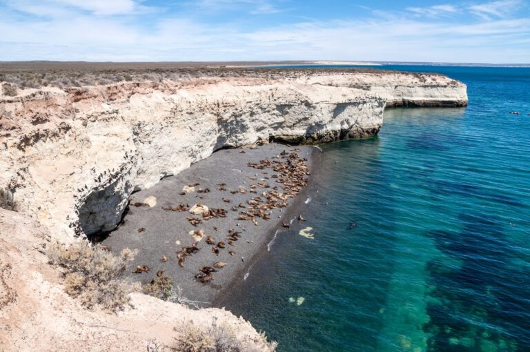 Ultimate Guide To Puerto Madryn