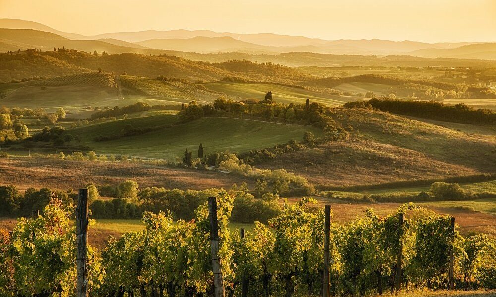 big-9474dabadf052ede9895e471f38ce432