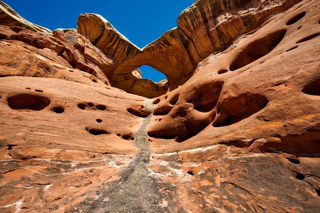 Bears Ears