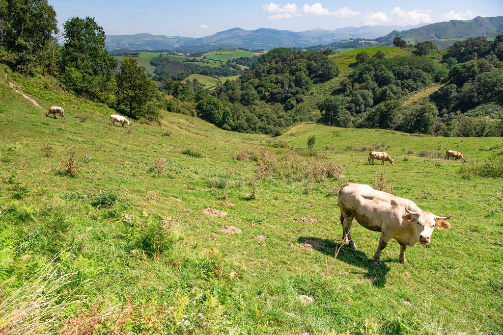 Enjoying Basque country