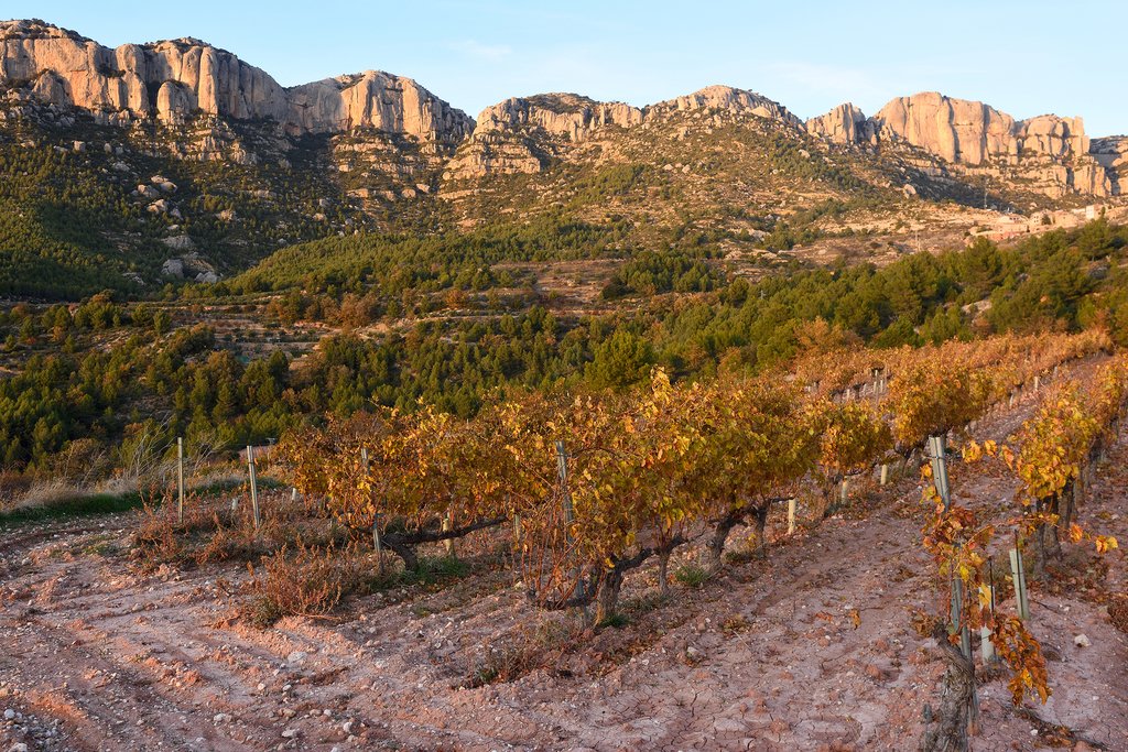 The Priorat wine region