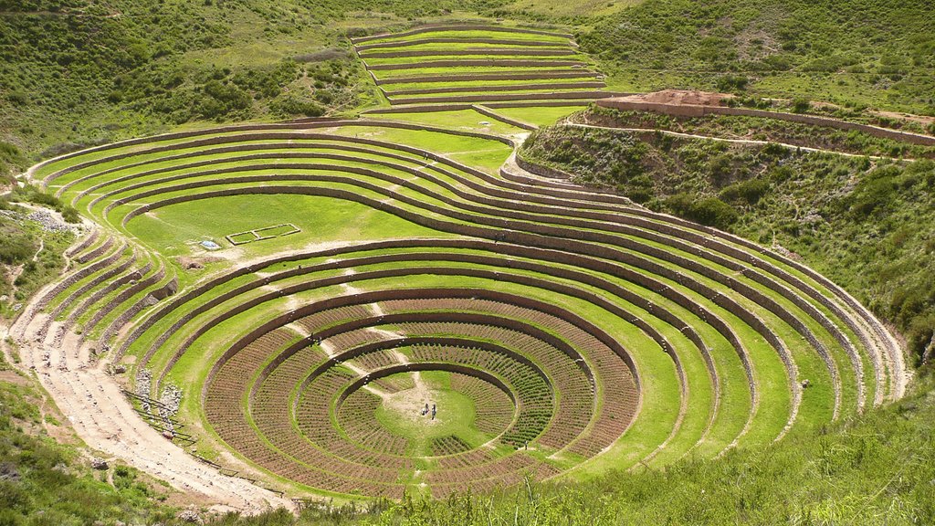 Moray Terraces