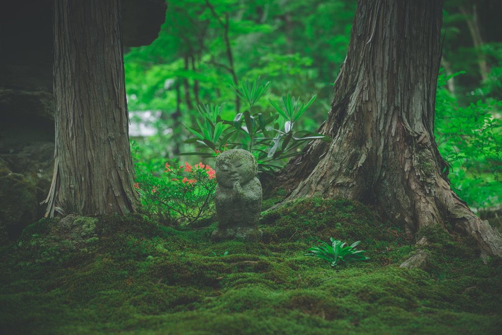 A serene monk statue in a forest