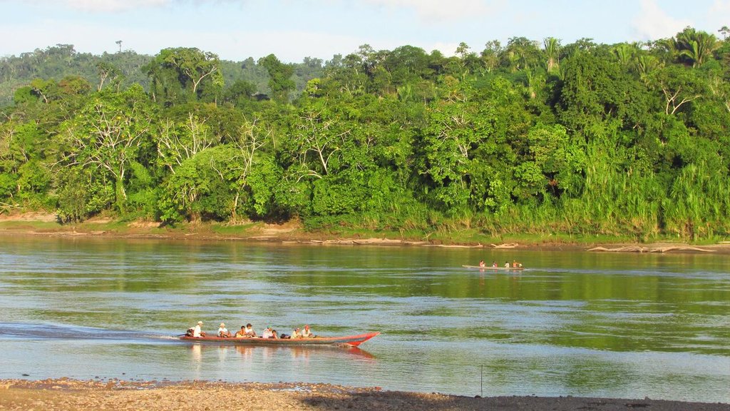 In this densely forested region,  river travel is more convenient than road travel