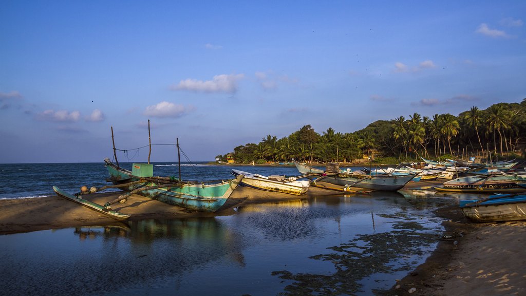 Traditional fishing boats docked at Arugam Bay