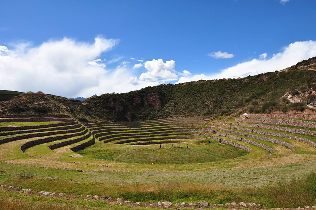 Moray crop circles