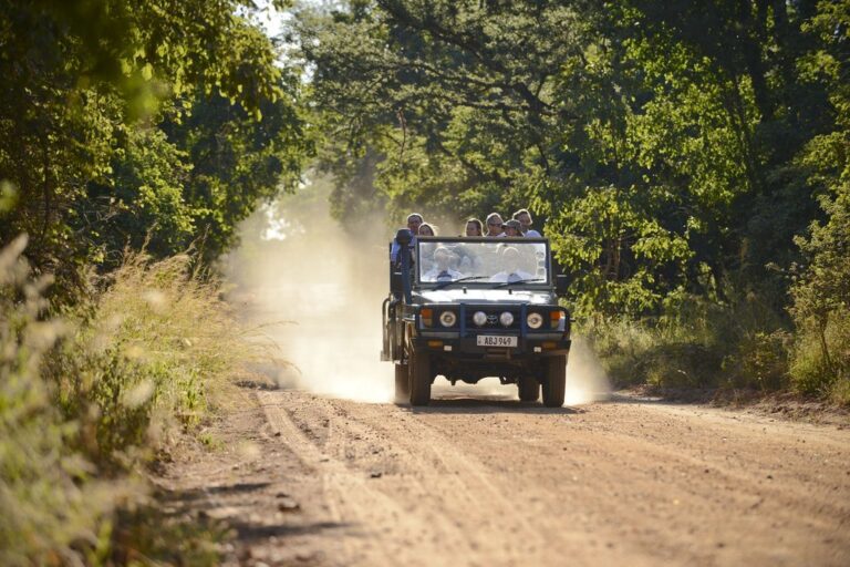 Luxury Zambia Safari & River Camp - 5 Days