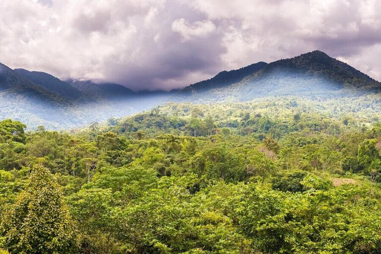 Panama & Nicaragua: Adventure, Nature & Culture - 16 Days