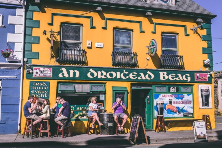 Ultimate Guide To The Dingle Way