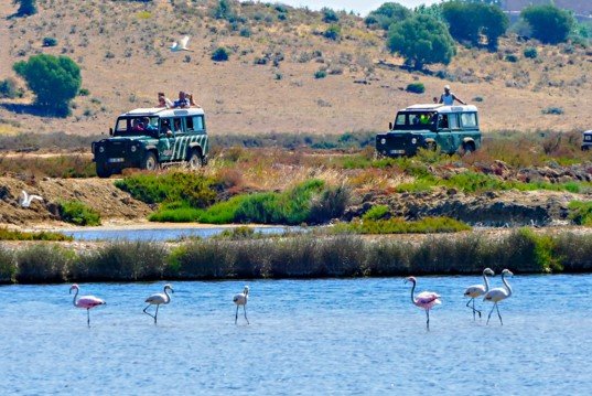 Jeep Safari Tour in the Algarvian Countryside