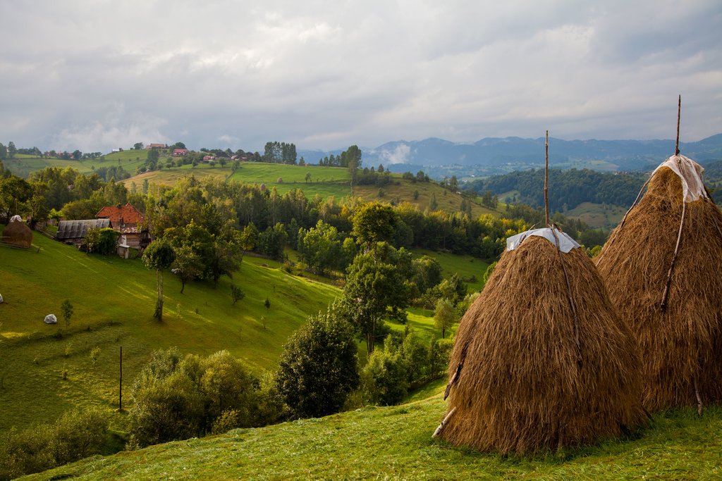 Landscape from the Bucegi Mountains