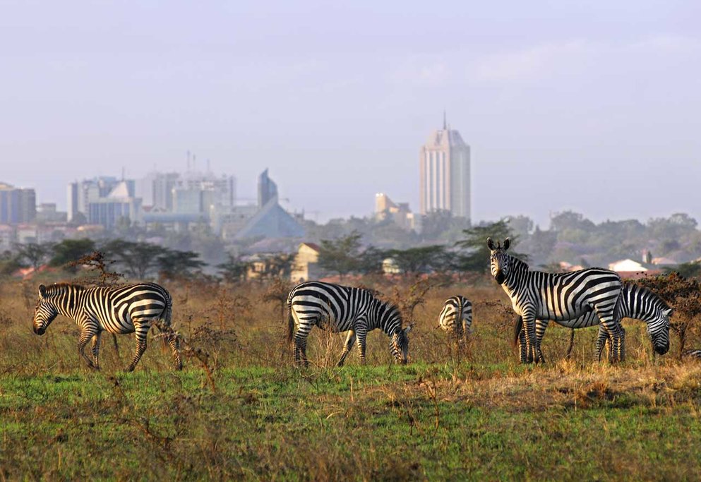 Amazing Nairobi National Park