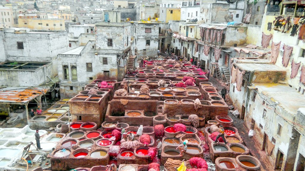 The famous tanneries of Fes