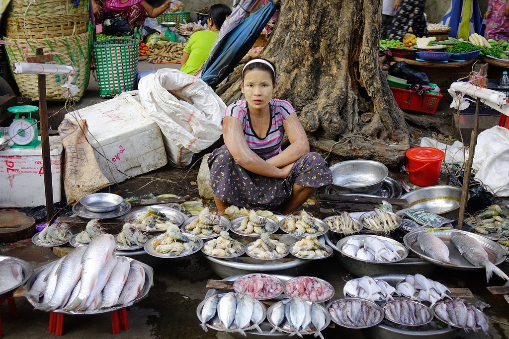 A woman selling fresh fish at street market in Yangon