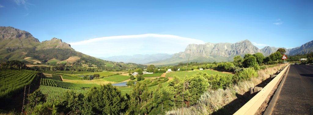 Cape winelands