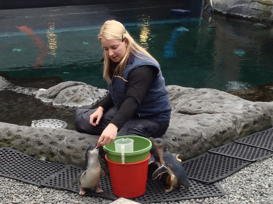 International Antarctic Centre