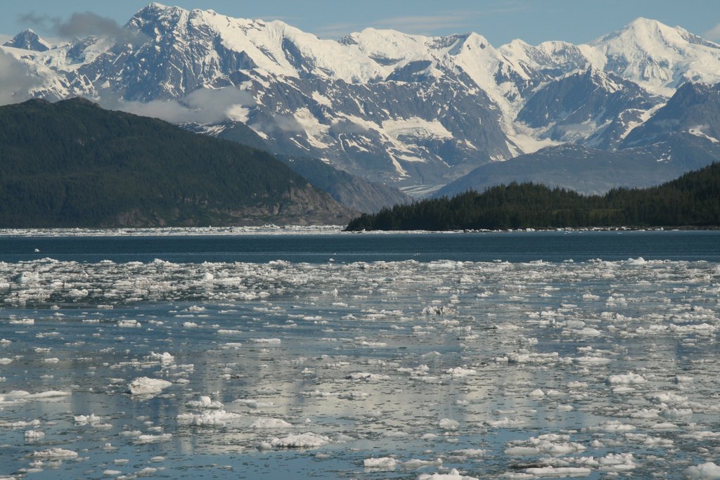 Prince William Sound near Columbia Glacier, Alaska