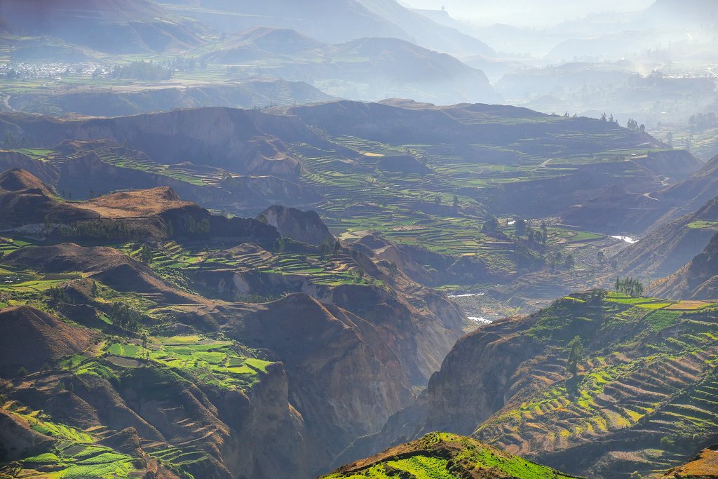 Colca Canyon