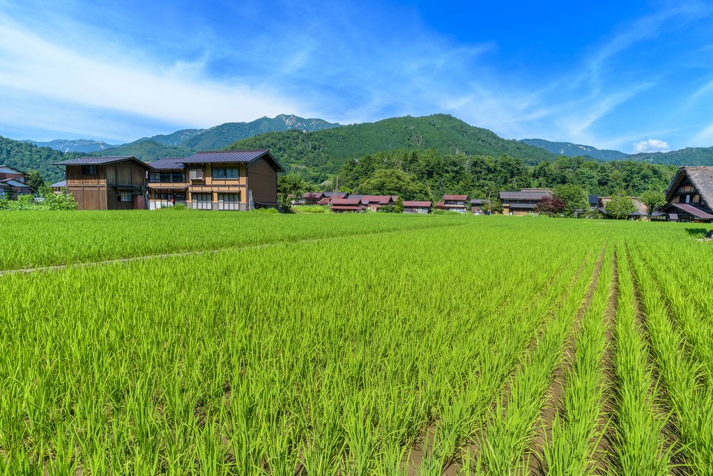 Takayama