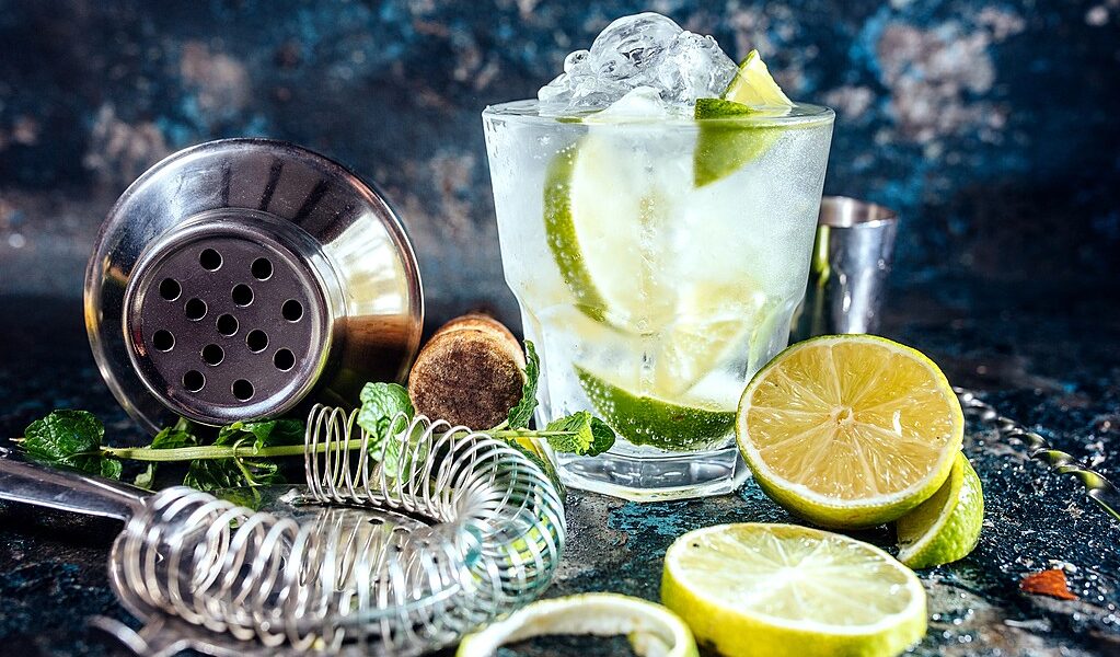 Gin Tonic Alcoholic Cocktail With Ice And Mint. Cocktail Drinks