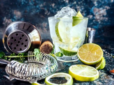 Gin Tonic Alcoholic Cocktail With Ice And Mint. Cocktail Drinks