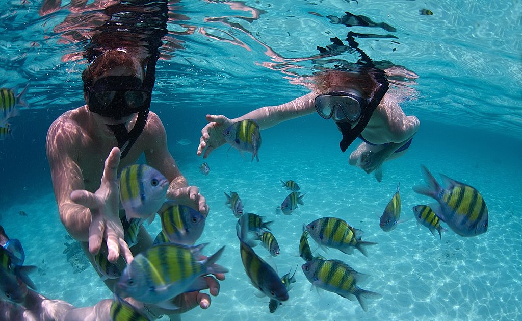 Snorkeling in the beautiful tropical sea