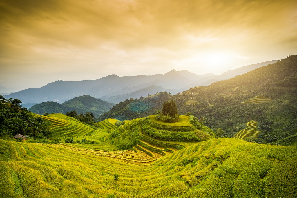 The terraced rice paddies of Hoàng Su Phì