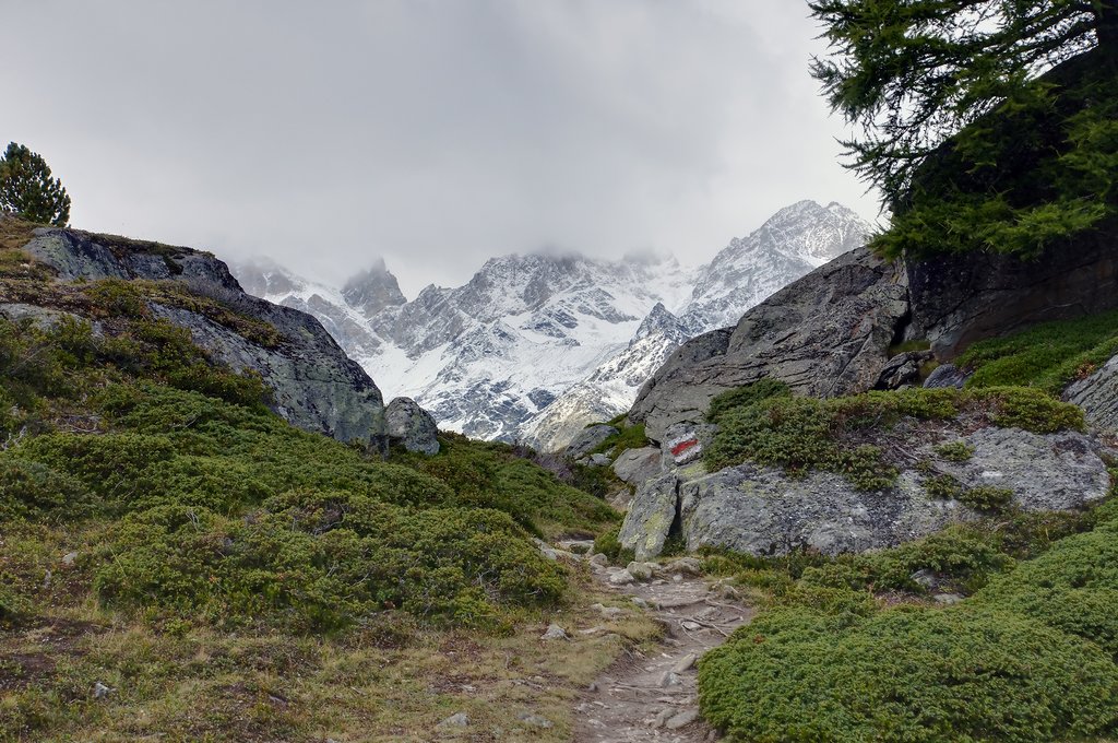 Along the trail