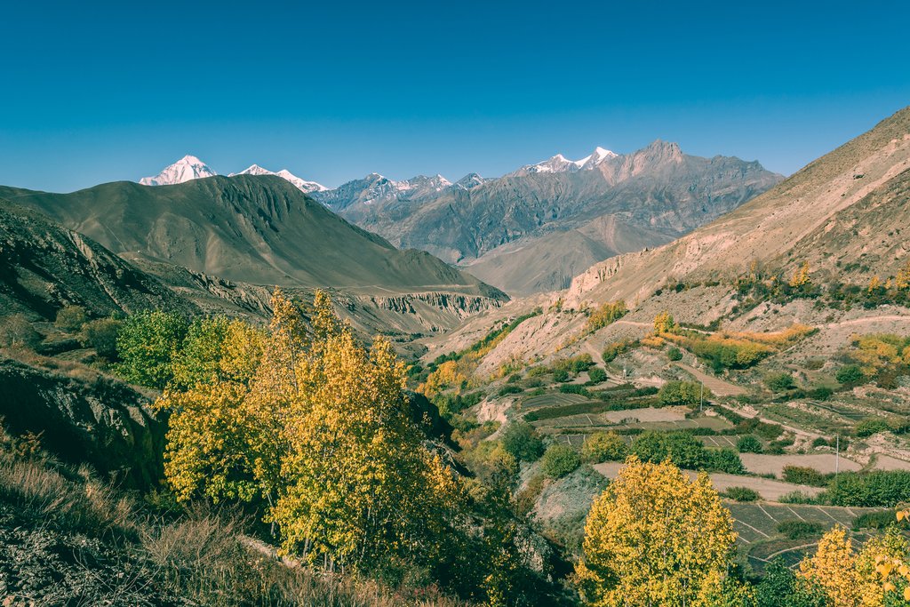 Travel along parts of the Annapurna Circuit