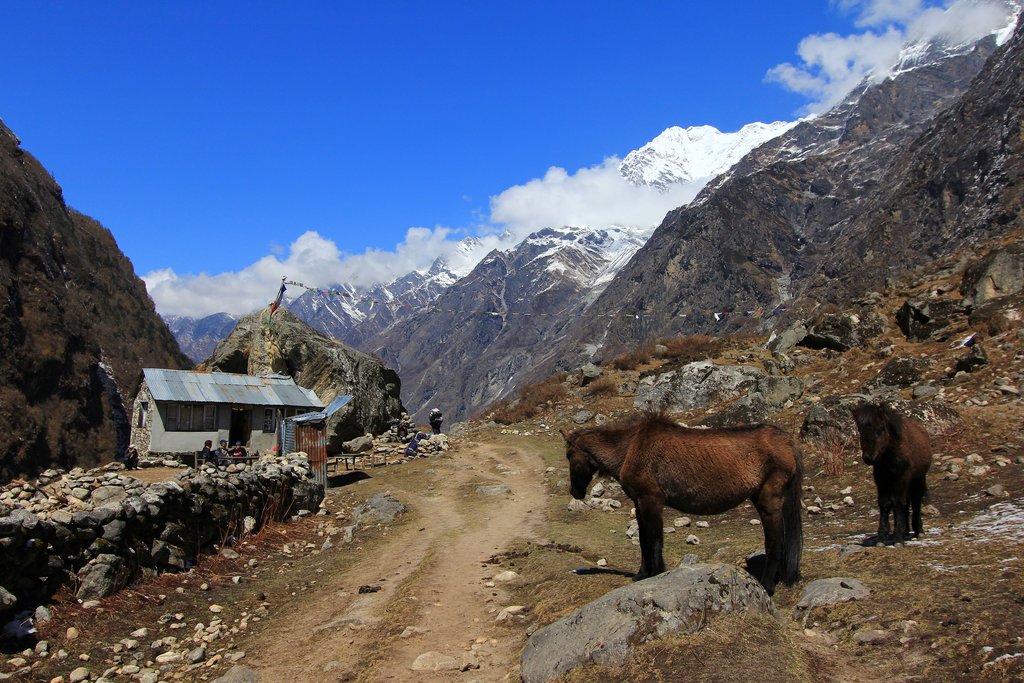 Langtang