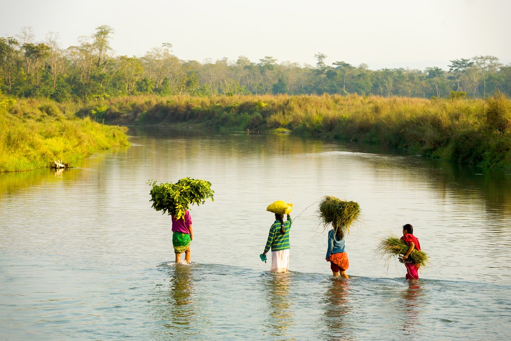Autumn harvest season in Chitwan