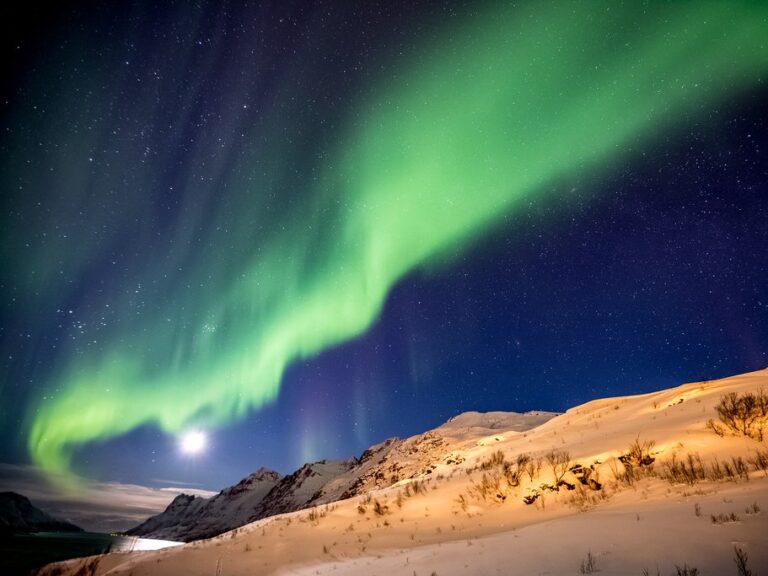 Tromsø & Alta Winter Adventure - 8 Days
