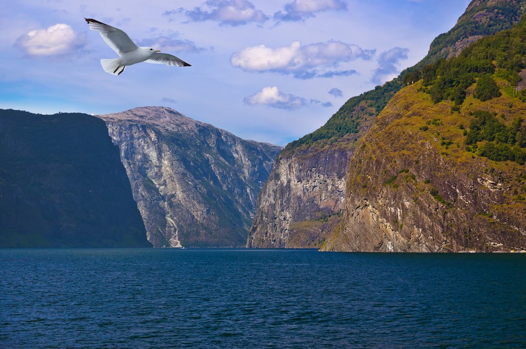 Take a boat ride in this deep blue water.