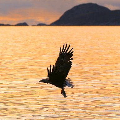 Sunrise in Tromsø.
