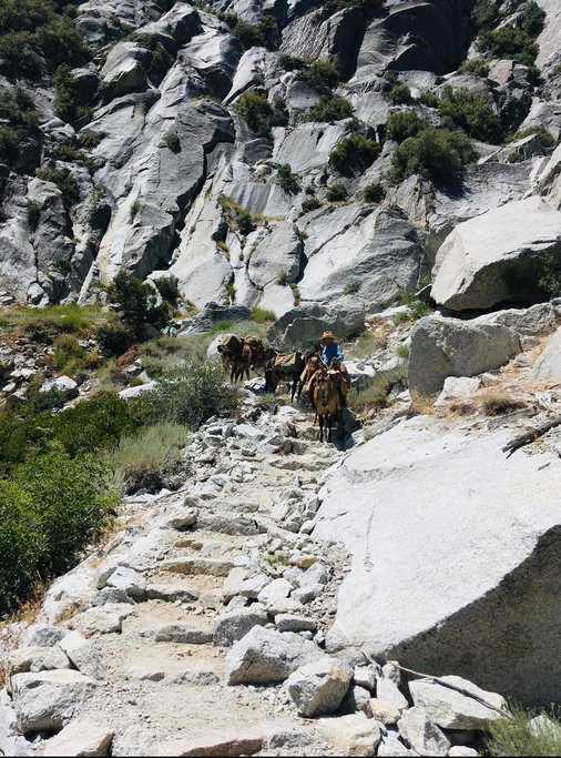 Horse Riding in Kings Canyon (Photo courtesy of Cedar Grove Pack Station)