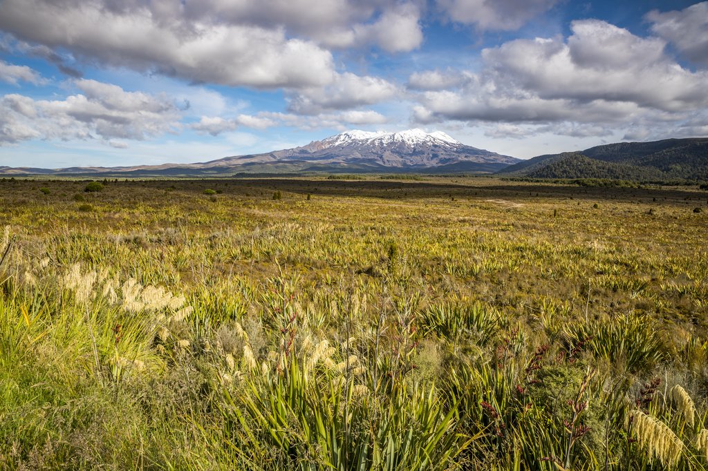 New Zealand - An image of a Mount Ruapehu volcano
